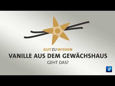 #gutzuwissen: Kann man Vanille im Gewächshaus züchten?
