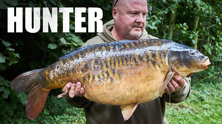 Jim Shelley - Hunter Pt.12 - NEW BEGINNINGS! LIVE ...
