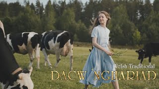 Dacw 'Nghariad [Welsh folk song]  Lyrics Video