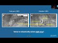 First Direct Observation of Present Day Volcanic Activity on Venus