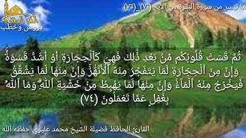 @مع القارئ الحافظ فضيلة الشيخ محمد عليوي يتلو علينا ماتيسر من سورة البقرة من الآية (٧٠)وحتى(٧٦)ص١١