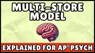 Famous Multi-Store Model (AP Psychology) Net Worth