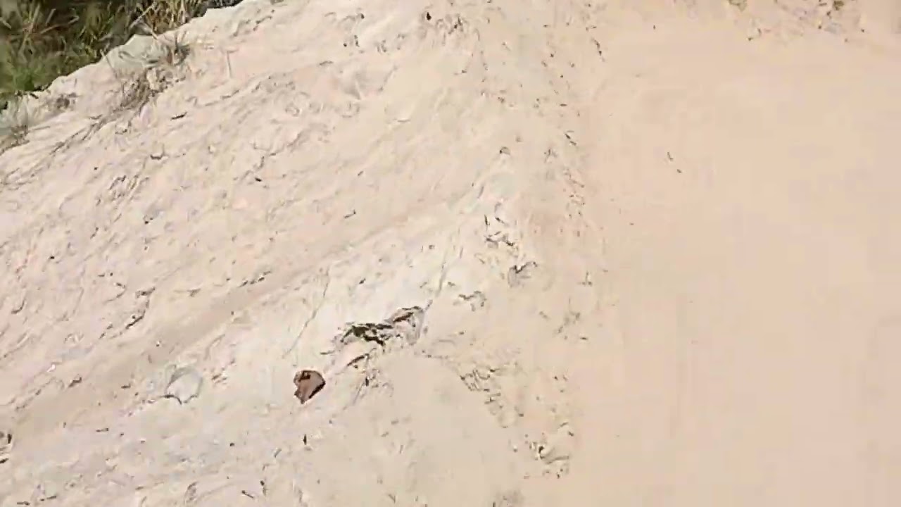 Toribari morang to aashetaar illam offroad 