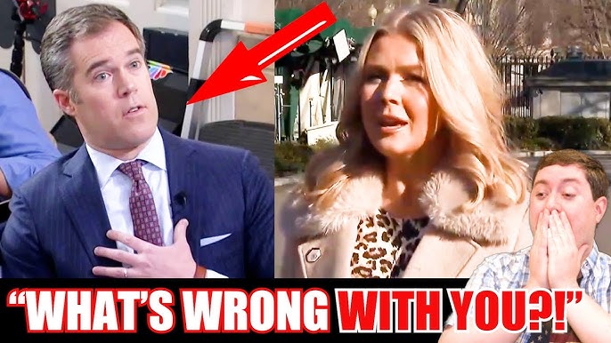 Karoline Leavitt SCOLDS disrespectful reporter in front of the entire  country - YouTube