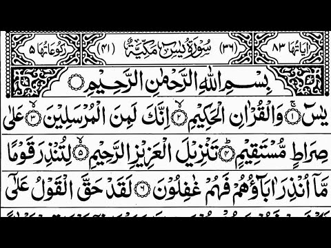 Surah Yasin (Yaseen) Full | سورۃ یس  🪻 Surah Yasin Full | Soothing Recitation | Ep_01