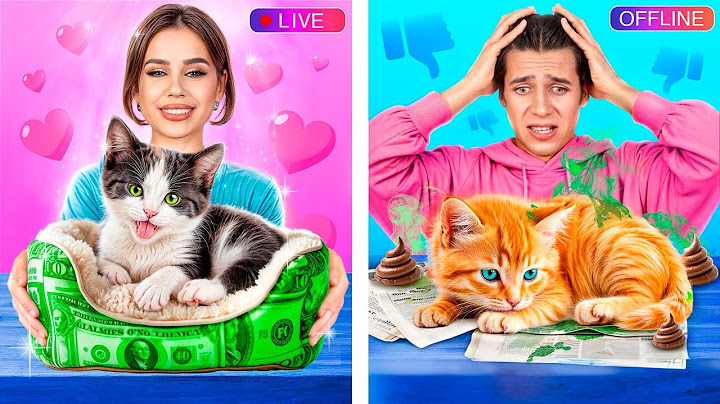 Pisica Bogată vs Pisica Lefteră! Gadgeturi Și Trucuri Uimitoare Pentru Animalele De Companie!