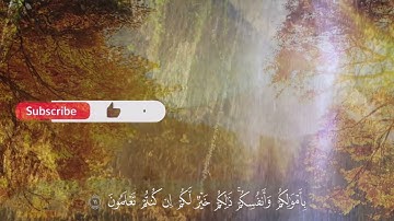 سورة الصف كاملة للقارئ الشيخ محمد الفقيه _ تلاوة خاشعة ومؤثرة🌹💚