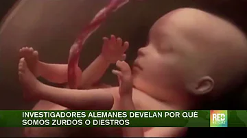 ¿Qué hace que un niño nazca zurdo?