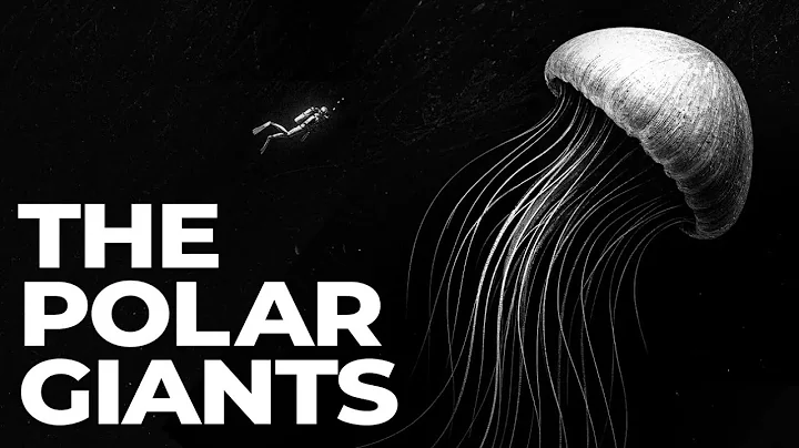 Why Antarctic Oceans Turn Animals Into Giants