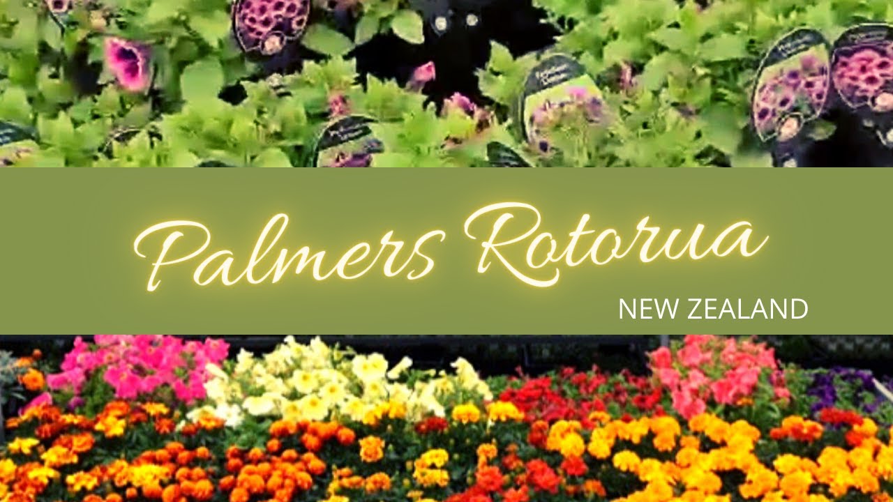 PALMERS ROTORUA NEW ZEALAND YouTube