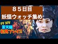 【FF 14】【８５日目】あ、はい生配信【概要覧必読❤️】【最大の敵は自分自身】