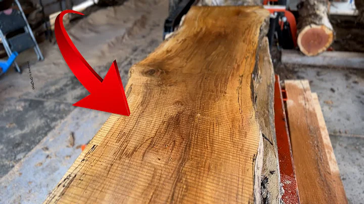 What Happens When A Dead Rotted Maple Tree Is Put On A Sawmill? - DayDayNews