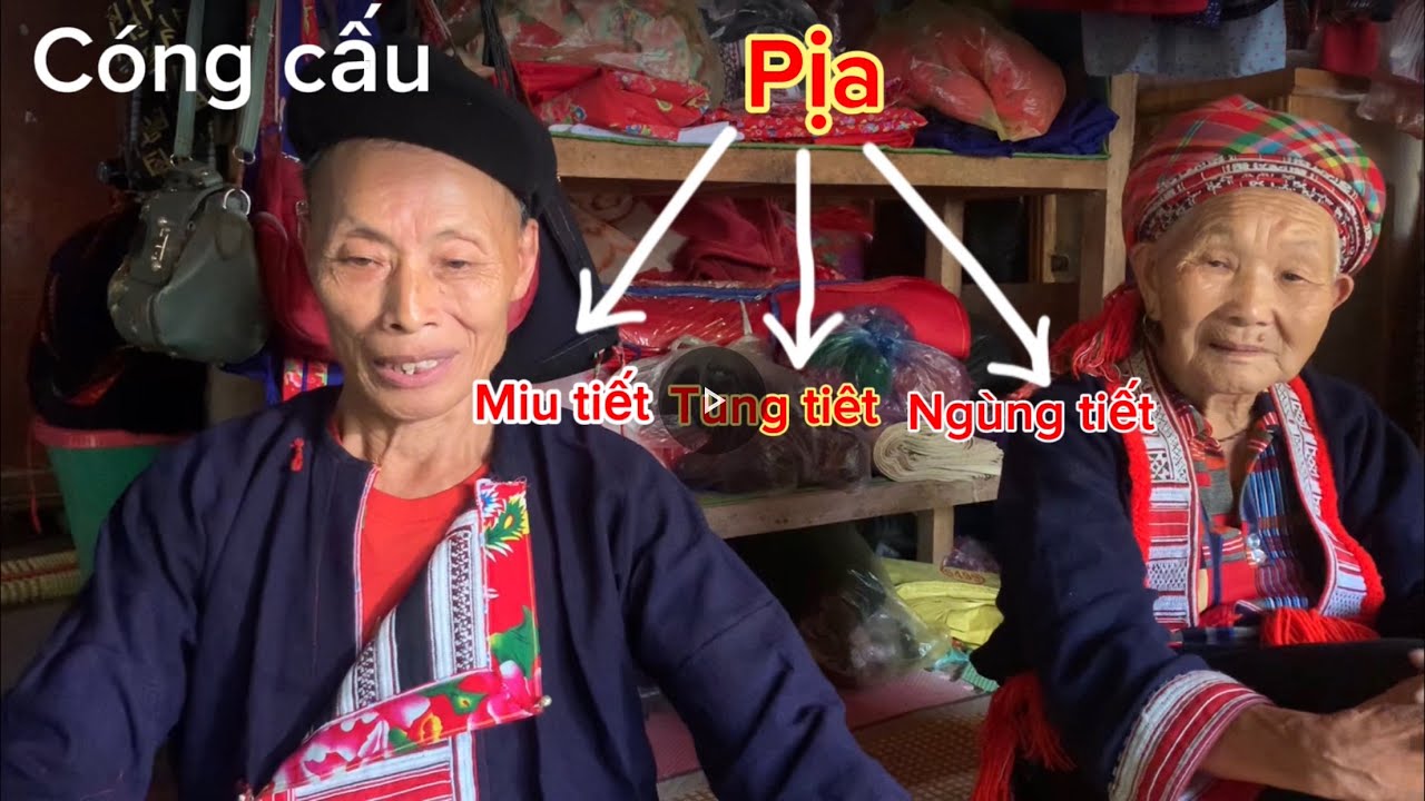 Câu truyện Tam thanh tranh địa vị |A pú