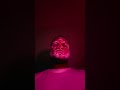 He made from powder #shorts #funny #comedy #couple #shortsfeed #feed #shortfeed #fypシ゚viral