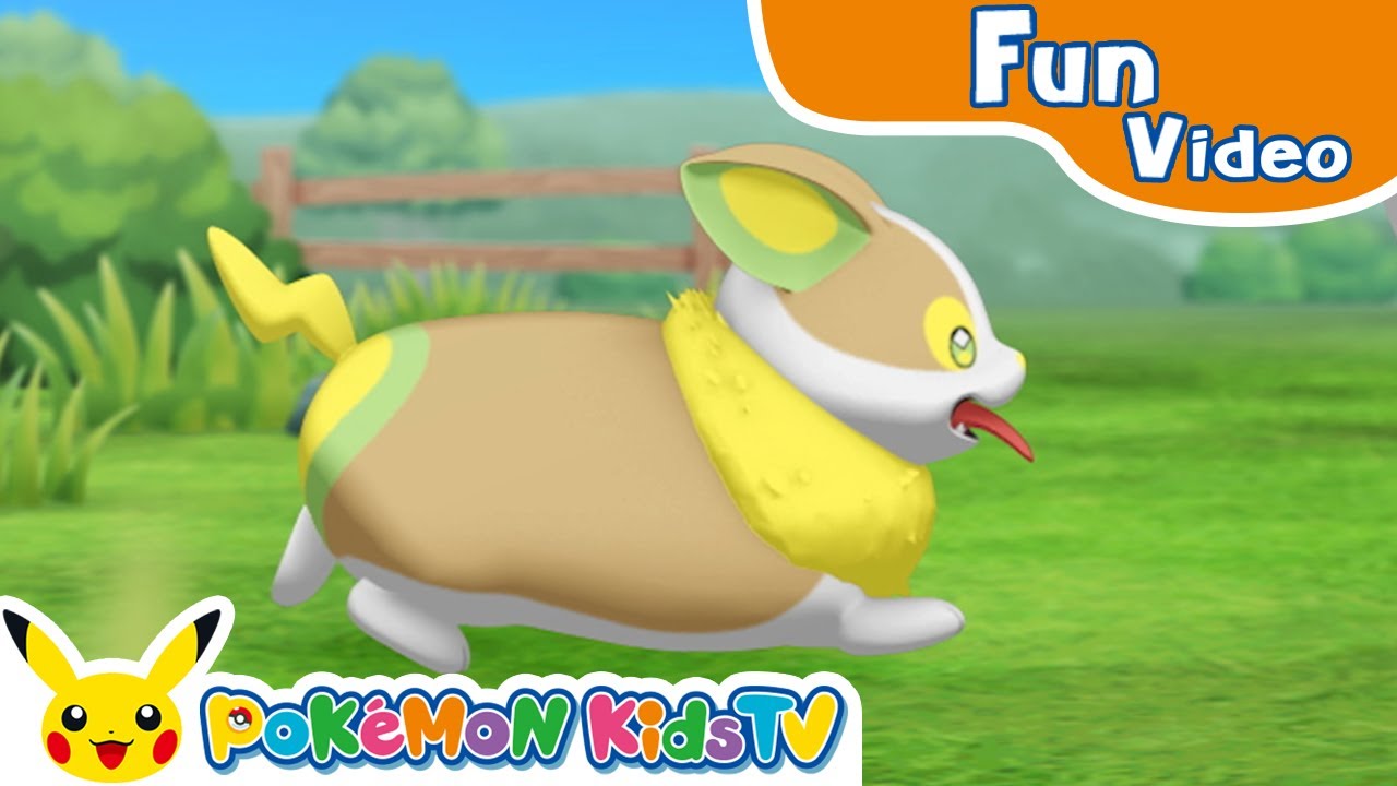 Visual Pokédex  - Yamper - | Pokémon Fun Video | Pokémon Kids TV