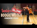 Senior Slow final - Odense 2022 (World Cup) | WRRC Boogie Woogie