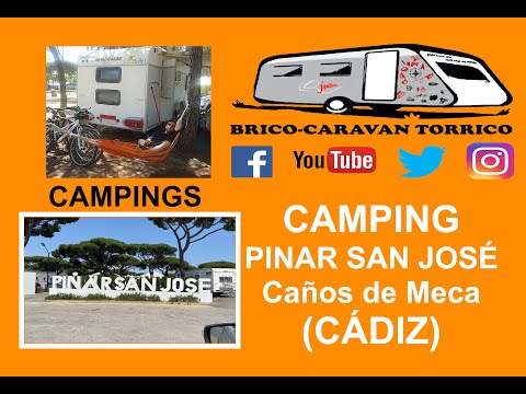 Video: ¿Puedes acampar en el pinar?