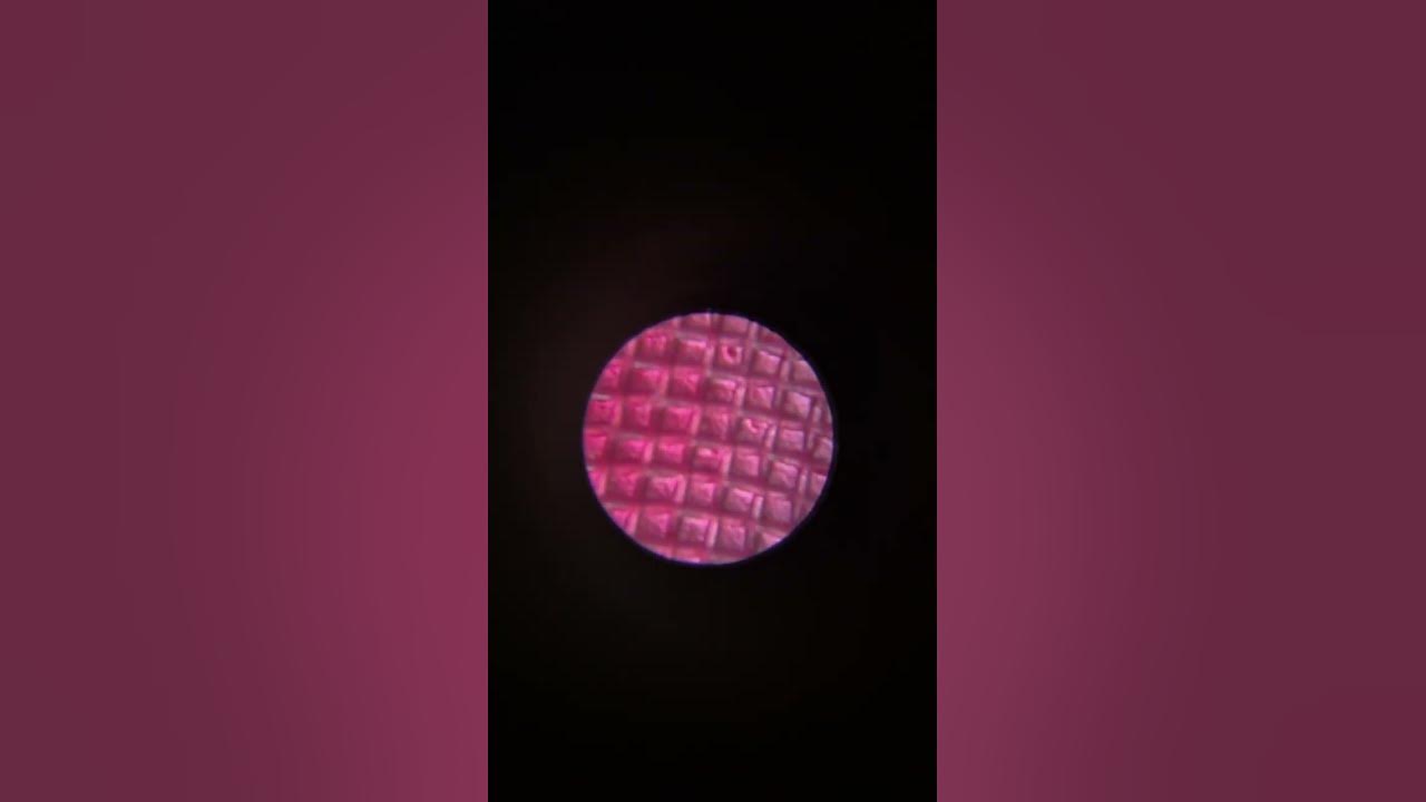 Bioplastic on fabric under a microscope bioplastics YouTube