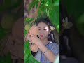 สวนผลไม้ที่เต็มไปด้วยสีสัน - แหล่งรวมรสชาติหวานและพลังชีวิตที่สดชื่น!