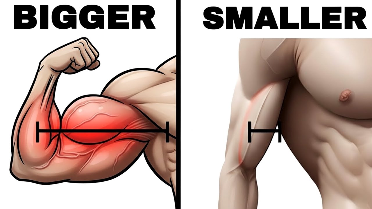 COMPLETE BICEPS EXERCISES LIBRARY | Wider Biceps Workout Gym