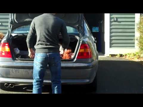 Ranker Video
