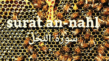 سورة النحل/surat an-nahl تلاوة خاشعة لراحة البال وطمأنينة النفس