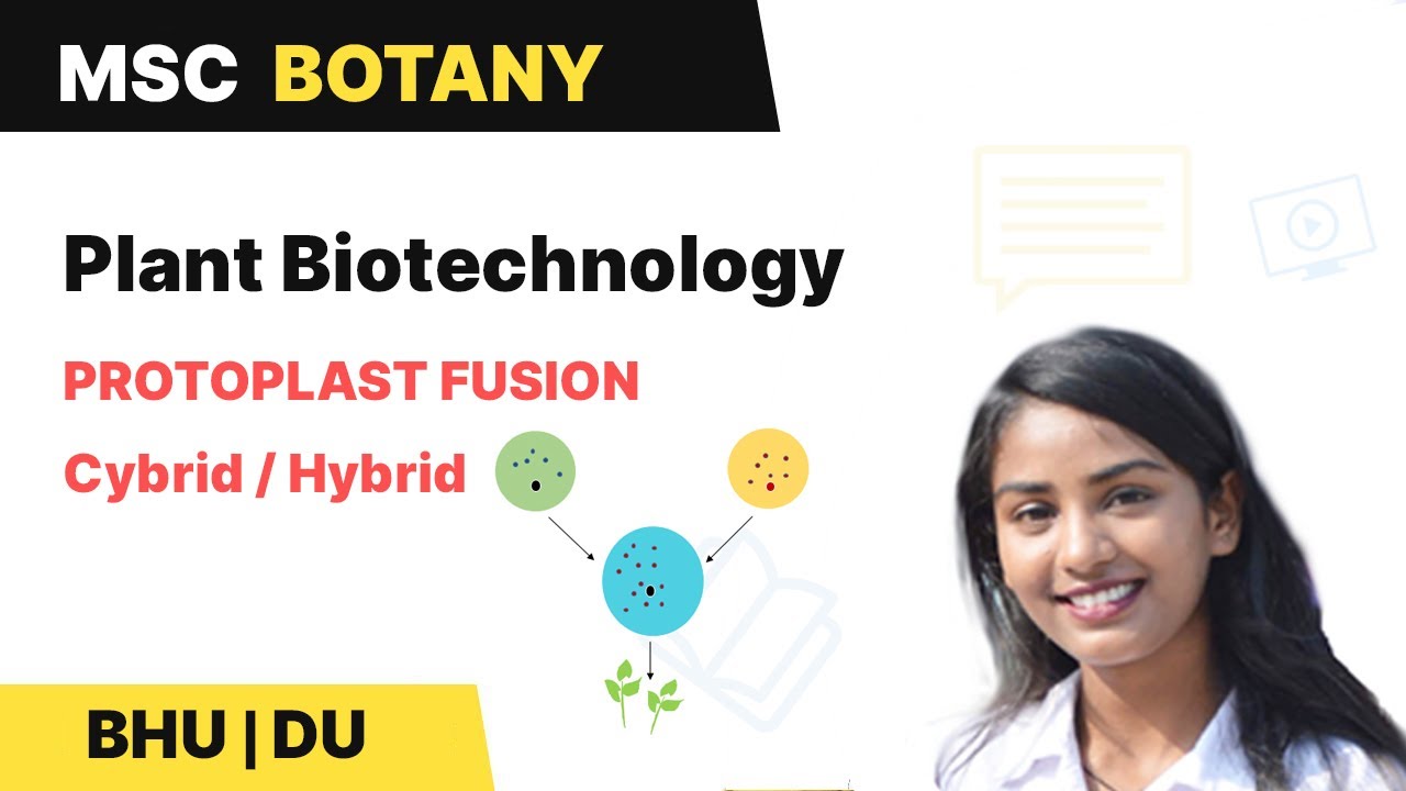 Protoplast Fusion | Cybrid | Hybrid | Plant Biotechnology | BHU | DU MSc Entrance |  In Hindi