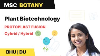 Protoplast Fusion | Cybrid | Hybrid | Plant Biotechnology | BHU | DU MSc Entrance |  In Hindi