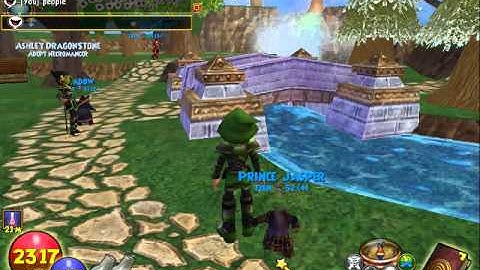 Wizard101 - random video