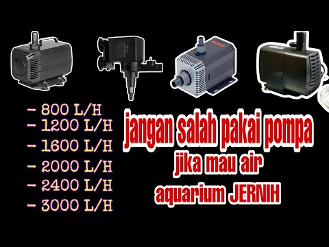 Video: Filter Akuarium Terbaik untuk Tangki Ikan 10, 30 dan 55-Galon