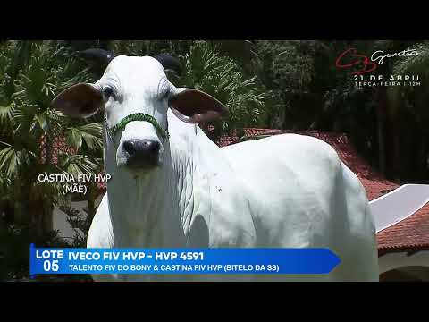 LOTE 05   IVECO FIV HVP