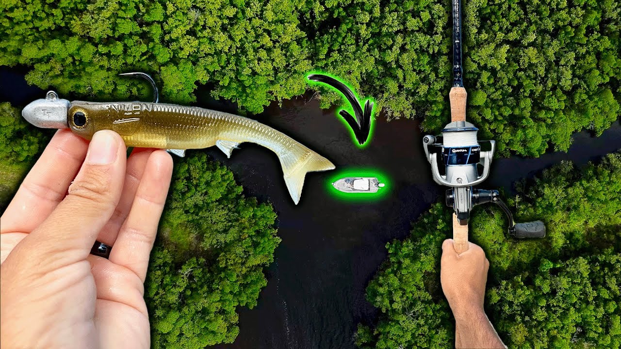 48 часов исследования секретных ручьев, кишащих снуками