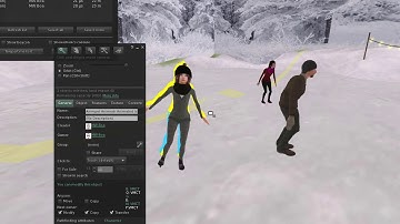 Instructions How to set up AnimPet Animesh Ice Skating People