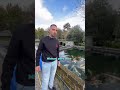 Preferisci laghetto o acquario per i tuoi pesci? Seguici per scoprire altre tipologie di pesci! 🎏