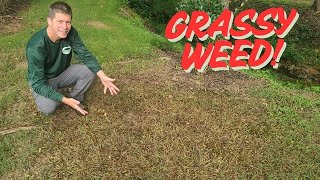 Download Lagu One Product Wrecking Ball on Tough Grassy Weed MP3 Download Lagu One Product Wrecking Ball on Tough Grassy Weed MP3