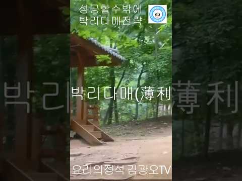 "성공할수밖에 없는 판매전략 박리다매!"#food