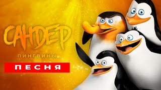 Песня Клип Про Пингвинов Мадагаскара - Сандер (Prod. Сандер) | Пчеловод Кадиллак Пародия