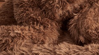 Lion Mane - Coma Inducer® Oversized Comforter - Golden Brown