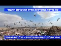 הצד האחר של נהגיה המשאיות בישראל: פרק 5 - על "תיק האוצרות" ומאות החסידות