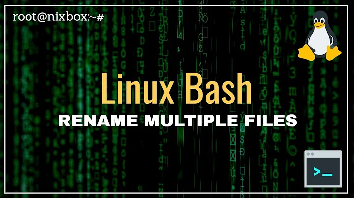 How to Change File Extension to Multiple Files at Once in Bash