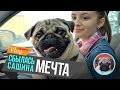 Chubaka Vlog! Сбылась Сашина мечта!