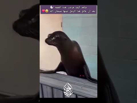 القارئ عبدالرحمن احمد تلاوات خاشعة اكسبلور صدقة جارية