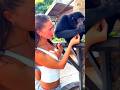 Quand les animaux aiment les humains… ❤️ PART 1