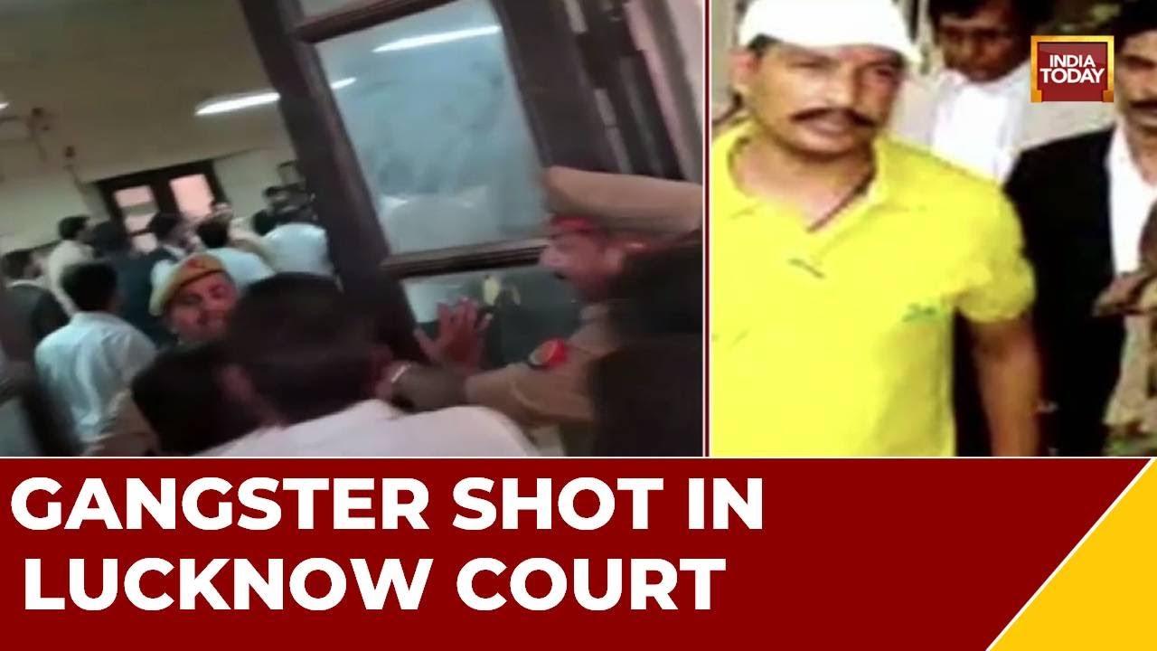 'Who Are The People With So Much Courage To Shot In Court?': Questions SP Leader Anurag Bhaduria