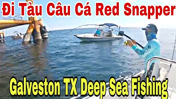 Galveston TX Red Snapper Deep Sea Fishing |Câu Cá Hồng Ngoài Biến Khơi