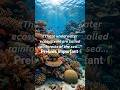 “CORAL REEFS INDIA  ” #geography #upsc #coralreef #indiaclimate #upscpreparation #environment
