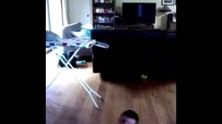 Kid Falls And Screams