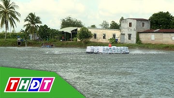 Đẩy mạnh tái cơ cấu nông nghiệp, nâng cao giá trị gia tăng | Trang địa phương - 4/11/2025 | THDT