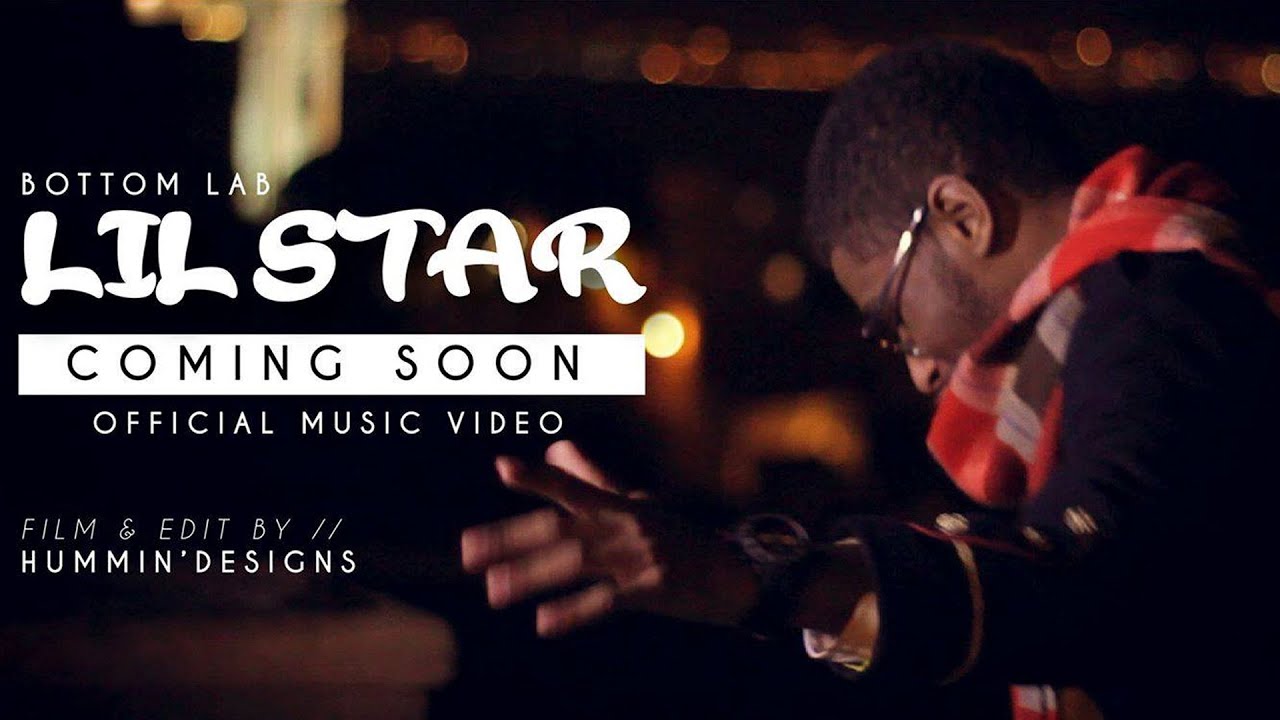 Bottom Lab Lil' Star YouTube