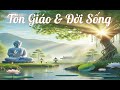 Huy Tâm Channel - TG&ĐS 45 - Bốn loại chúng sinh (Ngày 12/12/2024)